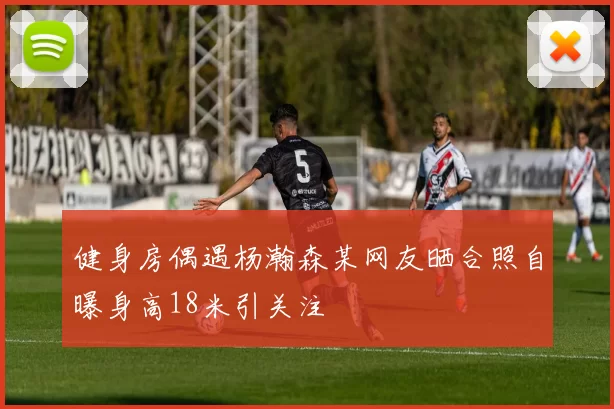 健身房偶遇杨瀚森某网友晒合照自曝身高18米引关注
