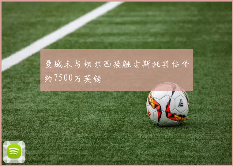 曼城未与切尔西接触古斯托其估价约7500万英镑